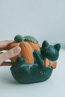 猫の首にはリボンがついています。