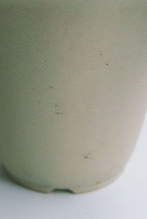 鉢が汚れている場合がございます。