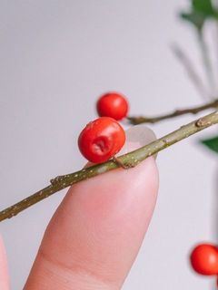 配送中の揺れにより、実が落ちる場合がございます。