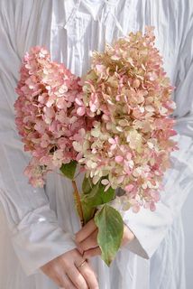 2本でお届けします。色合いはおまかせ。