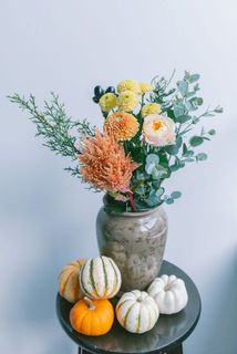 カボチャの品種はおまかせになります。
どれが届くかはお楽しみに🎃