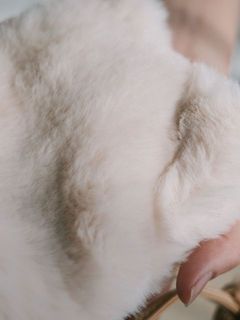 手触りが最高なんです。白なので汚れやすいのでご注意を。