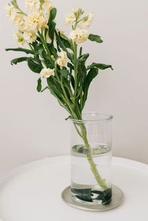 アルミプレート合わせて飾るといつもの花器もおしゃれに。