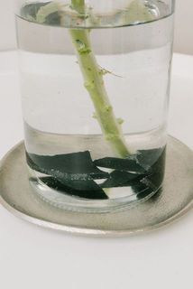 ご使用前に竹炭を水で軽くすすいでから花瓶に入れてください。