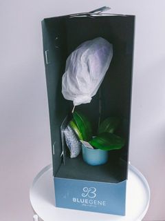 花は保護されています。優しく外してください。