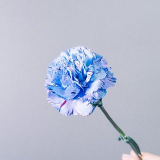 ミスティックブルー 