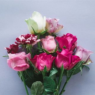 だんだんと花が開いていく様子も楽しんで。