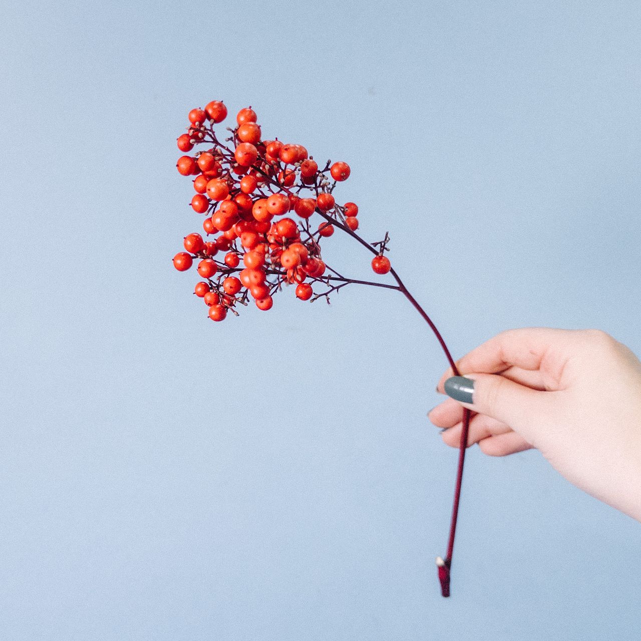 お正月のしずく型お飾りキット