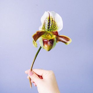 少々短めでお届けいたします。