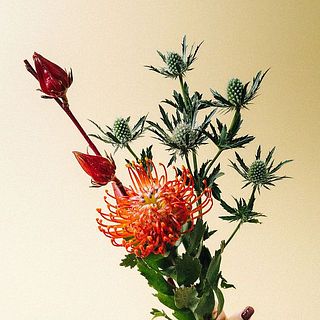 ユニークなとげとげのお花たち