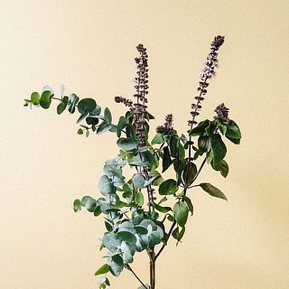 香りの良いバジルやユーカリも入っています。