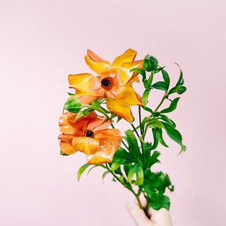 つやのある光沢にうっとり😍