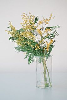 春ならミモザが似合います。