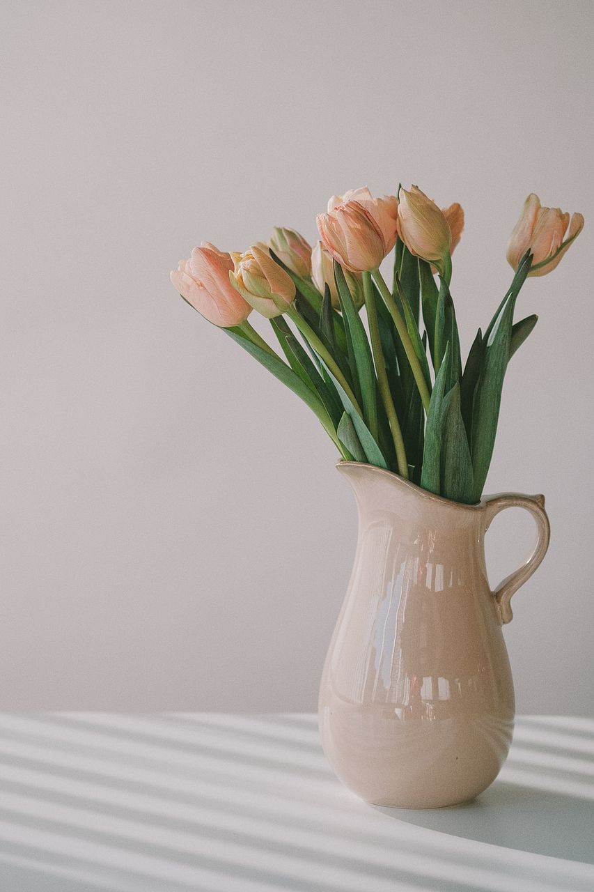 産直】清都農園のセピアチューリップ