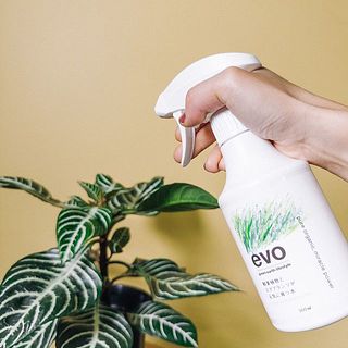 週に2回ほど葉や土にシュッとするだけ。