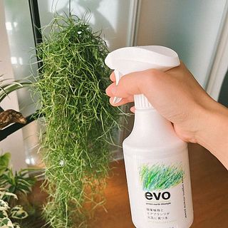  スパニッシュモスなどのエアプランツにも使ってみて。