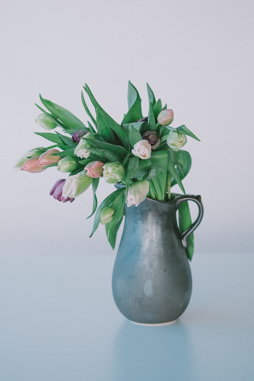 チューリップ  000000010189_EGGnTQC.jpg