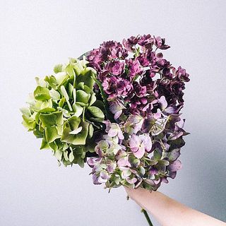 紫陽花は2つお届け。風合い個体差によって異なります。