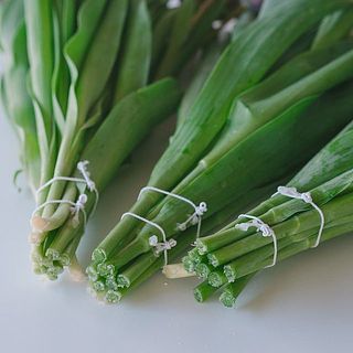 摘みたてのフレッシュなお花をその日のうちに発送しているため、保水なしでお届けします。受け取り後、すぐに水揚げをお願いします。