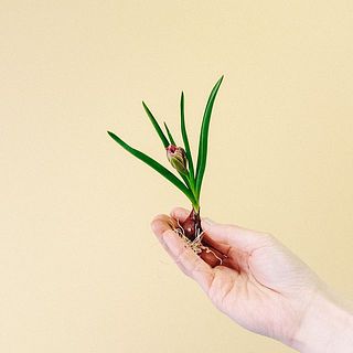 テタテ