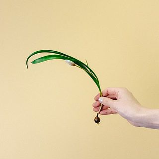 ヒルデ