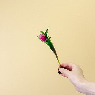 ブラックベース