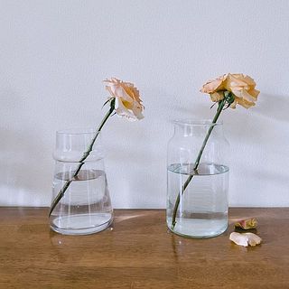 栄養剤を入れたバラ（左）は、1週間経っても元気に咲いていました☺️