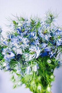 鮮やかなブルーがかわいい！