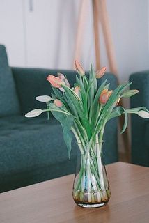 あちこち自由に伸びるチューリップのかわいさが引き立ちます。［使用花器：mazzo（アンバー）］