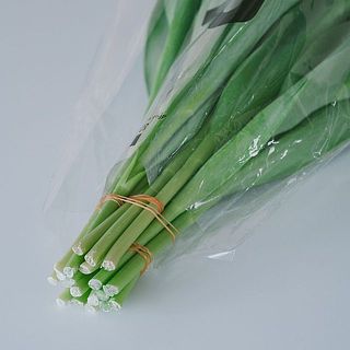 摘みたてのフレッシュなお花をその日のうちに発送しているため、保水なしでお届けします（「乾式輸送」と呼ばれます）。受け取り後すぐに水揚げをお願いします。