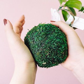 手で平らになるように椿に気をつけながらやさしく押す。