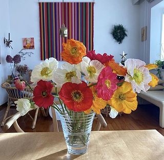 お届けイメージ（写真提供：＠__toucansさま）