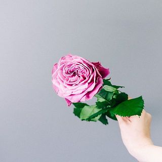 バラ「リバーデイル」