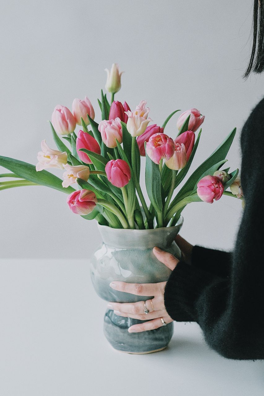 産直】センティアのおまかせチューリップ（ピンクMIX）