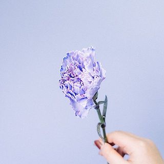 香る夢のつぼみ