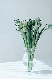 たっぷり10本お届け。クリアな花器に活けると透明感抜群です。［使用花器：ドロップベース］]