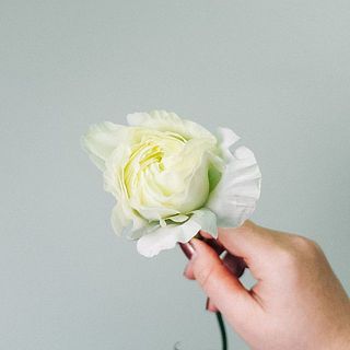 ラナンキュラス「モルバン」