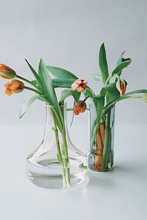 いろんなお部屋に分けて飾っても◎