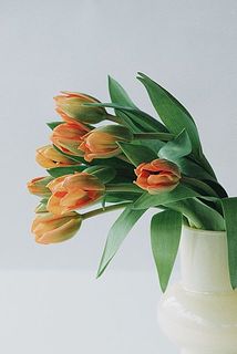 この時期だけの特別な品種です。今逃したら来年😢❣️