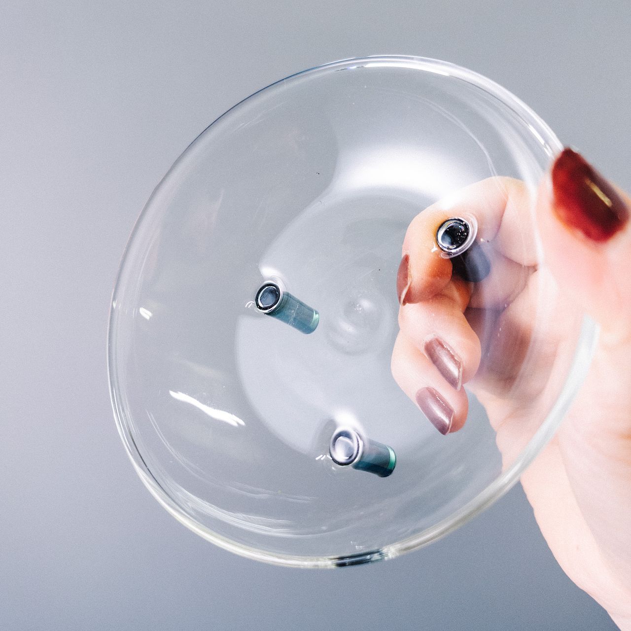 苔玉専用「モスボールトレイ」