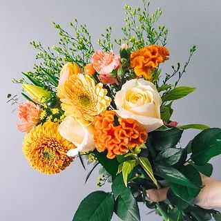 お届け例（内容は毎回異なります）