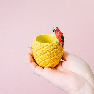 ちょこんと乗ったオウムがかわいい。
