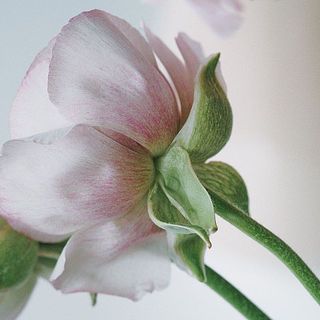後ろからもよくみてみて。色合いがおしゃれなんです。