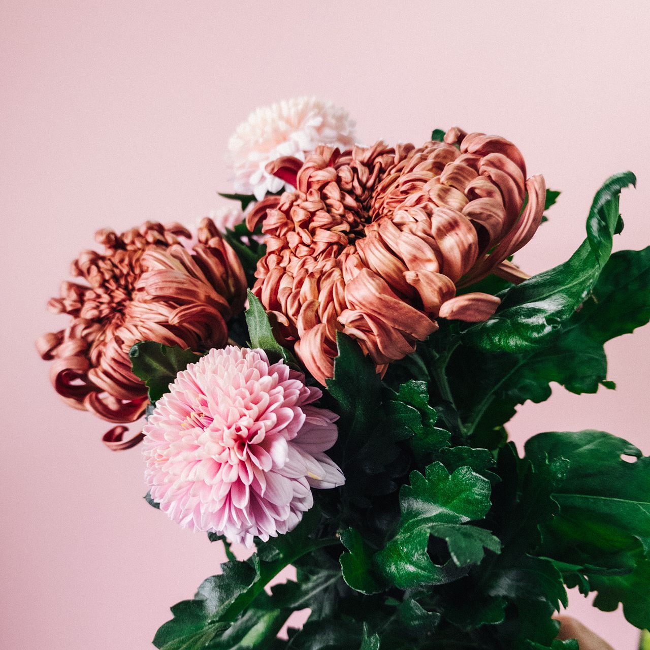 アンティークおしゃれマム