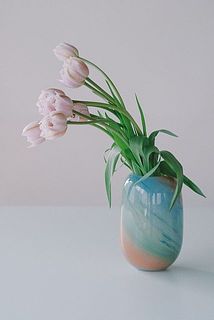 のびのびと咲く姿が愛らしい。茎が柔らかいため、うつむきがちに咲く特性があります。