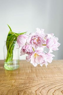 俯きがちに咲く特性があります。