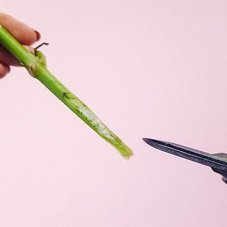 ハサミで鋭く斜めにカットする。