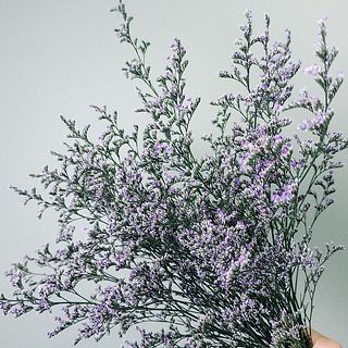 小さな花が可愛らしい😍