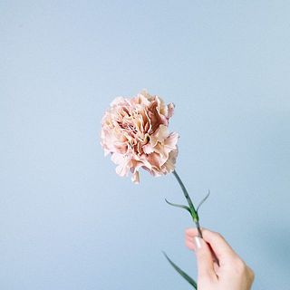 桜色プロテアのアンティークスワッグ