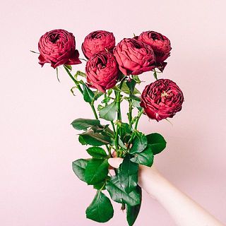 1本から4〜5輪お花がついています。